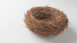 Blender Bird Nest using Particle System