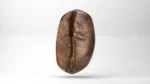 3D Coffee Bean