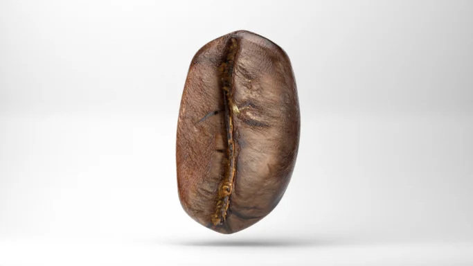 3D Coffee Bean
