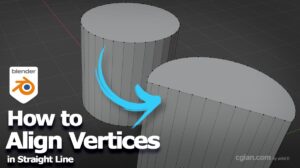 How to align Vertices in Blender