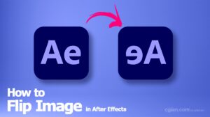 How to flip image in After Effects